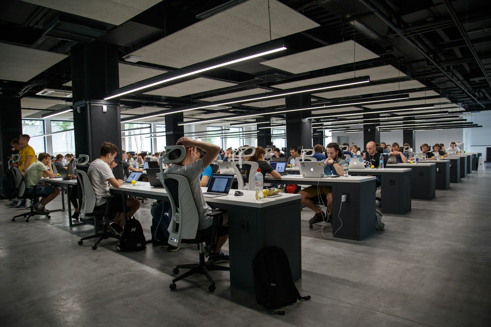 people doing office works, general liability